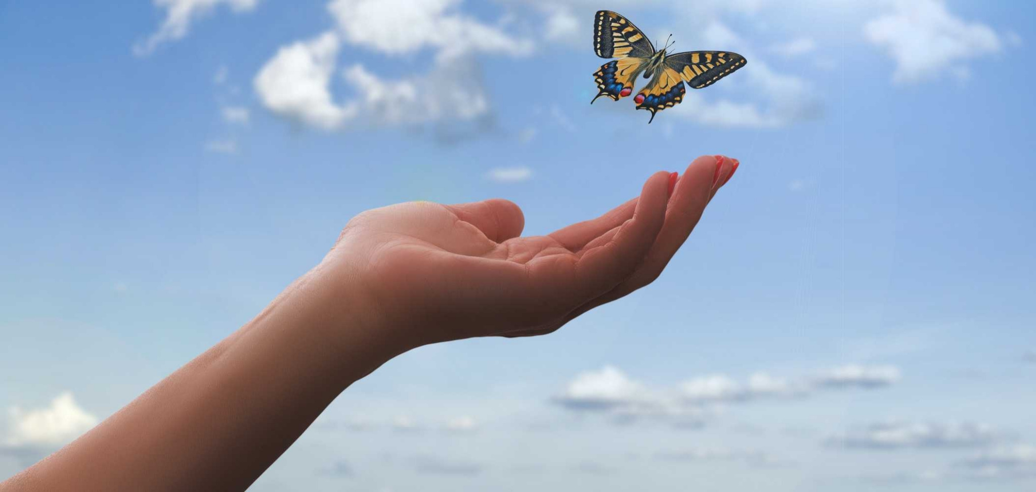 Allergikerfreundlich